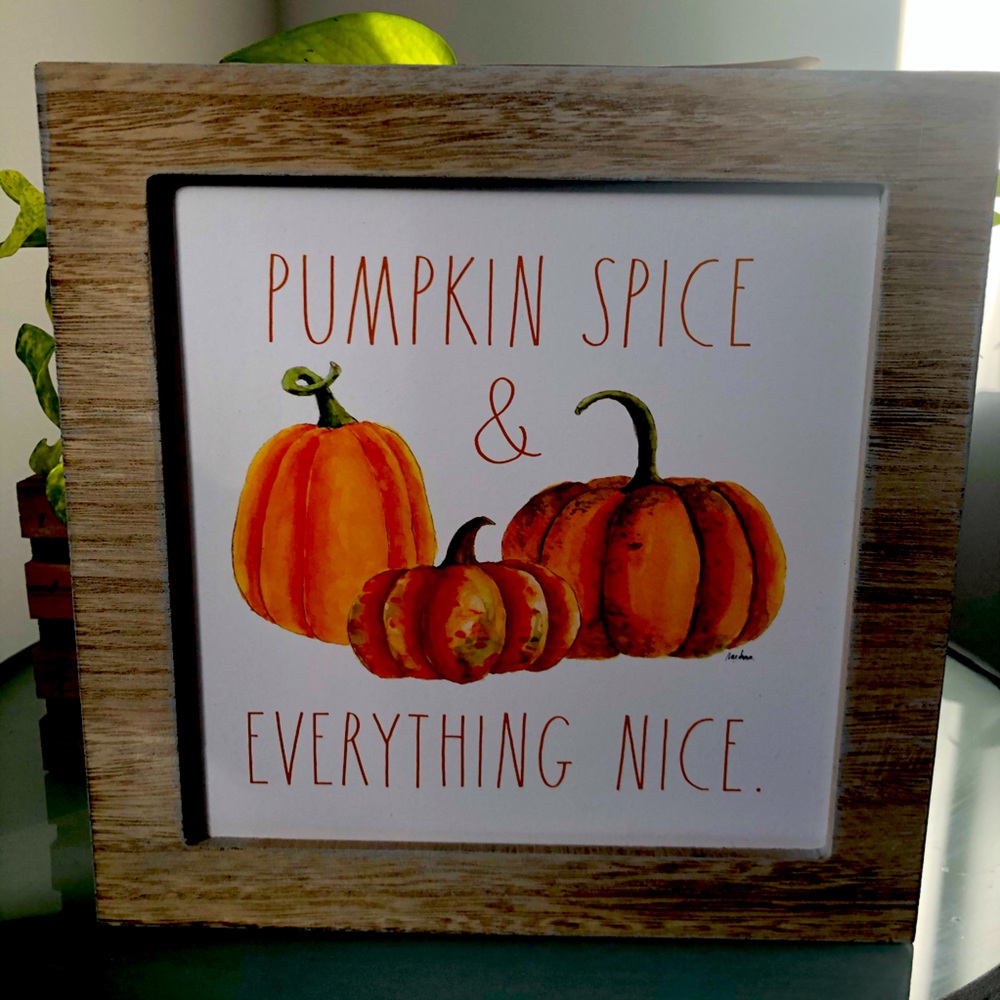 Rae Dunn PUMPKIN SPICE & EVERYTHING NICE Box